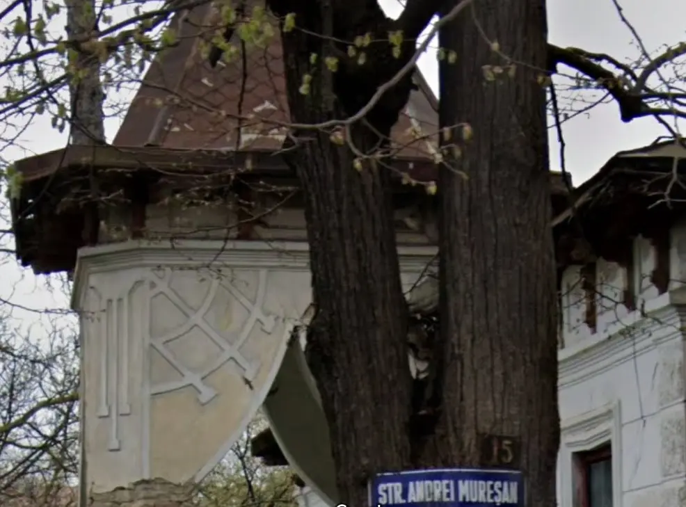 Casa Mogoș din Vaslui