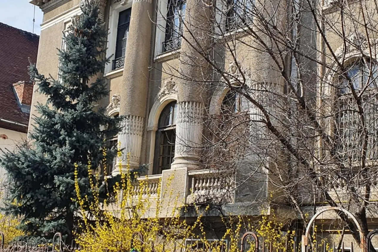 Casa Jean şi Irina Procopiu din București, str. Dumbrava Roșie