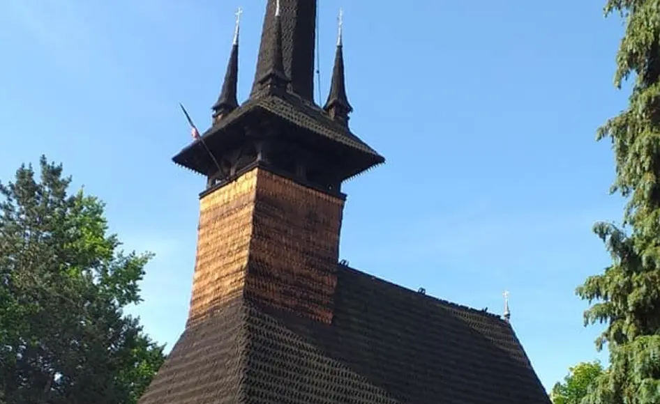 Metocul Băile Felix, Bihor