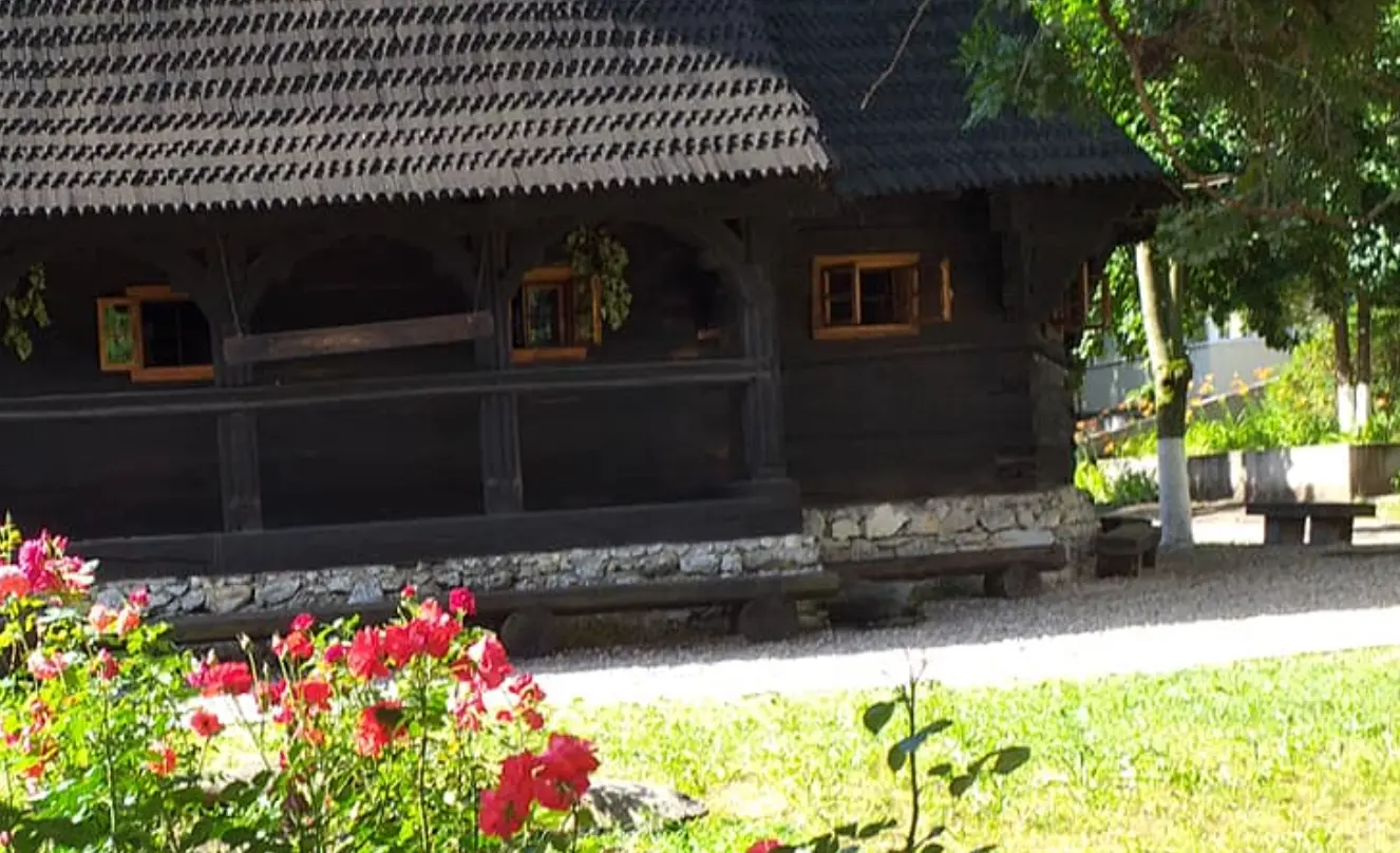 Metocul Băile Felix, Bihor