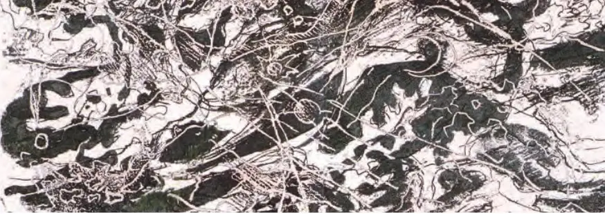 Carol DAVID, artist vizual