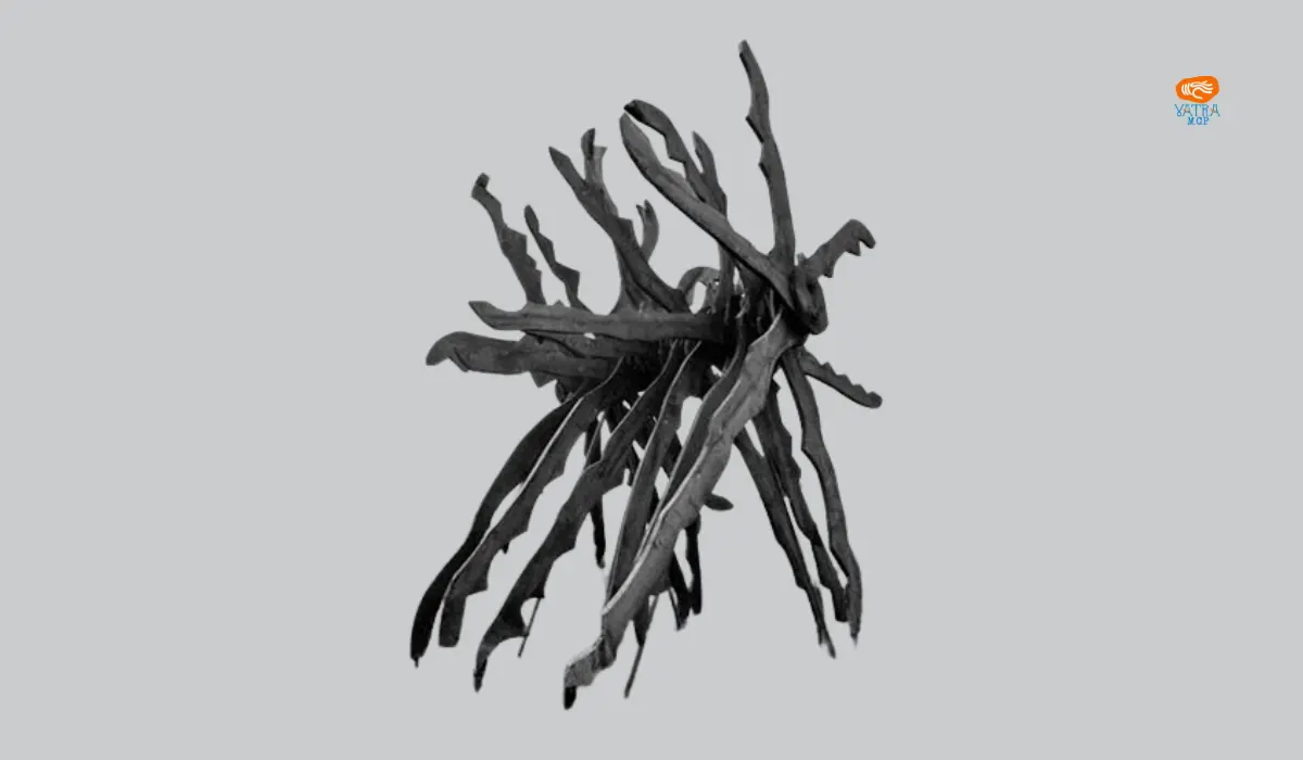 Planta carnivoră (1986) – Corneliu Camaroschi