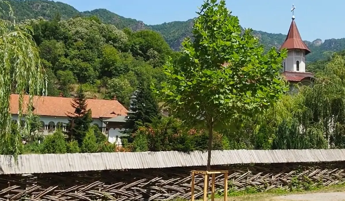 Mănăstirea Turnu, Vâlcea