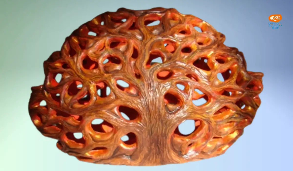 Arbore luminat – Petru Leahu