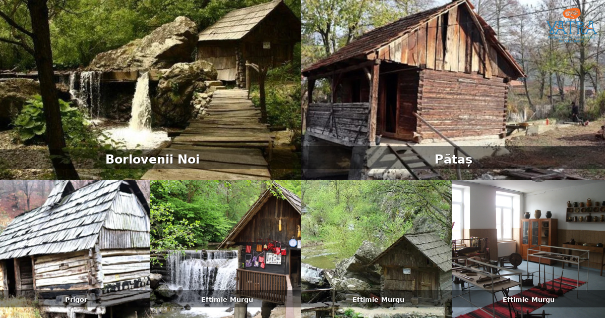 Atracții, monumente și obiective turistice din Borlovenii Noi