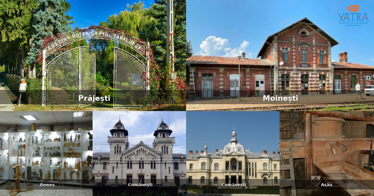 Atracții, monumente și obiective turistice din Valea Arinilor