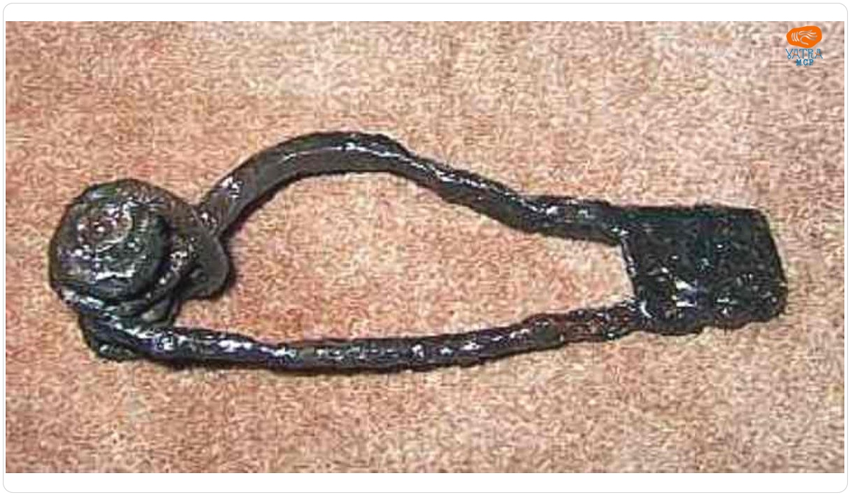 Fibulă