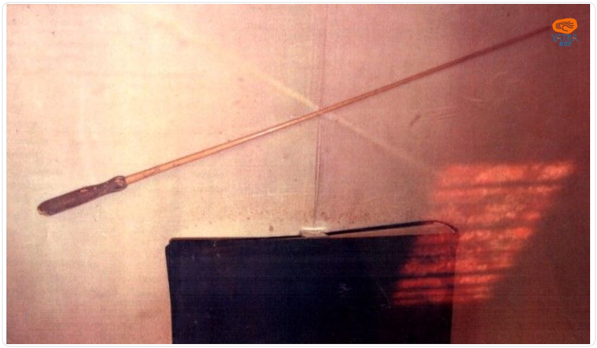 Bagheta de dirijor a lui George Enescu