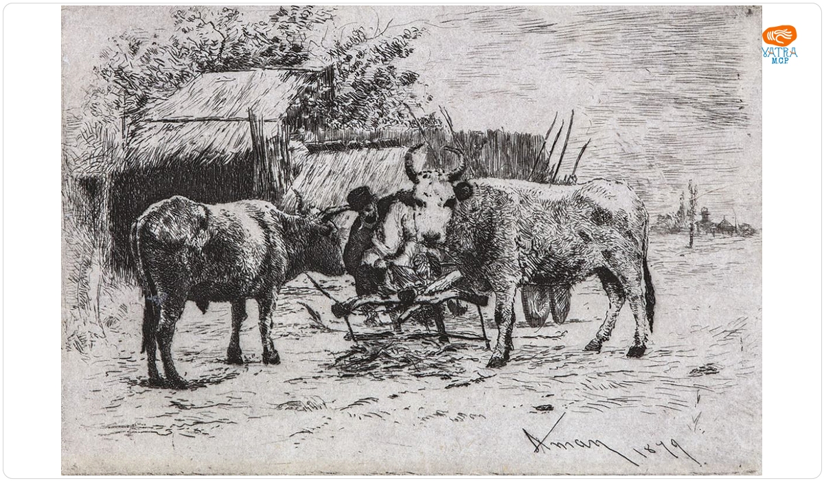 Înjugatul boilor (III)
