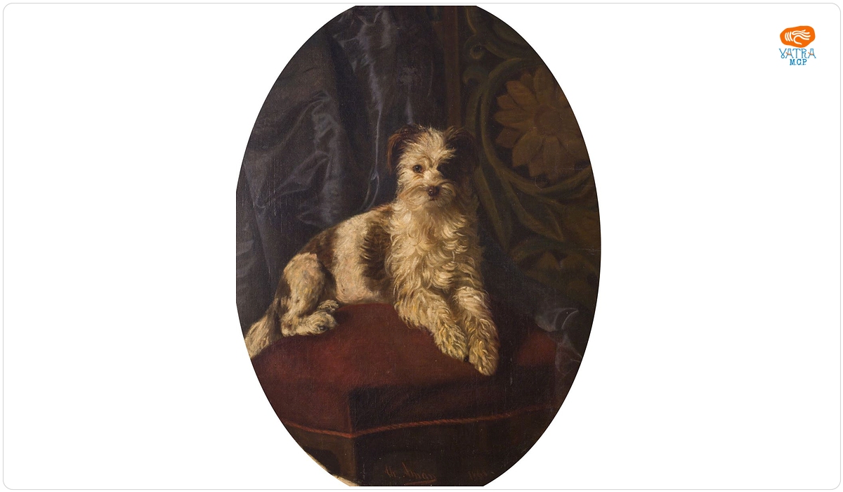 Un câine