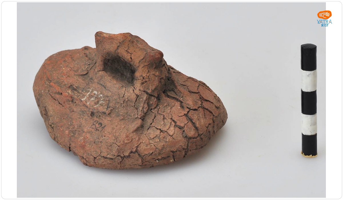 Capac de vas miniatural