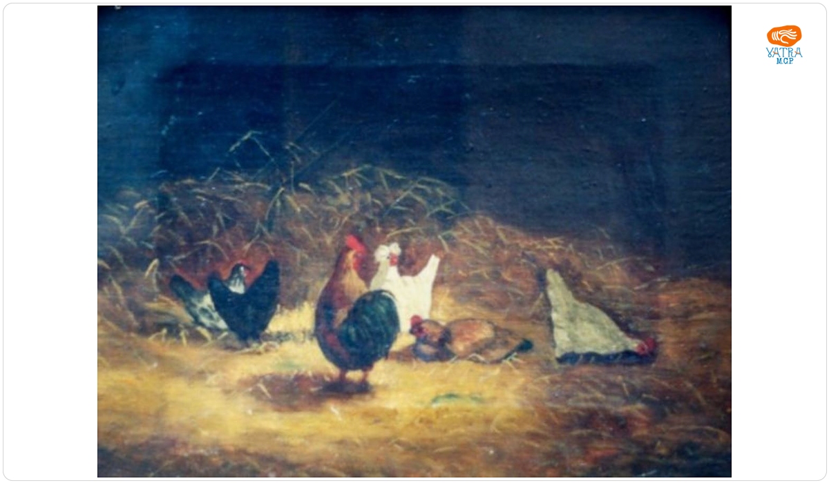 Găini