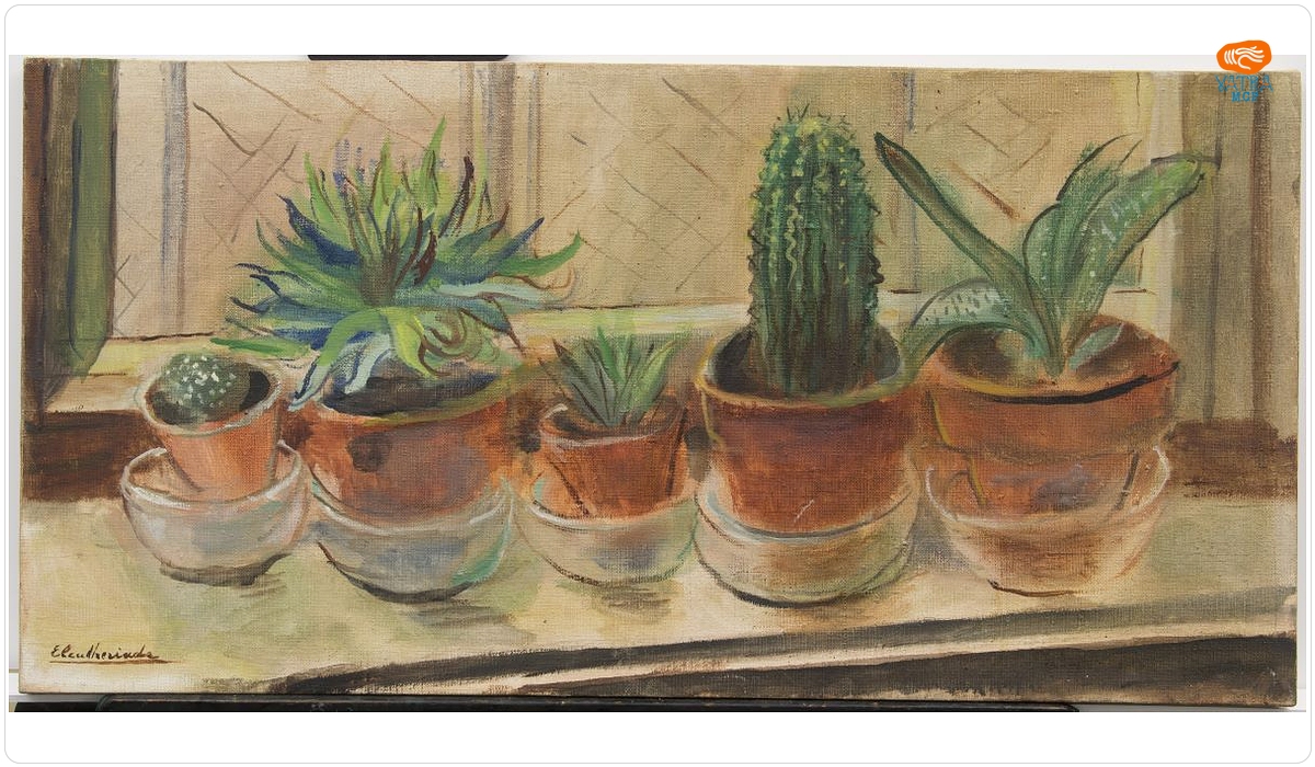 Cactuși