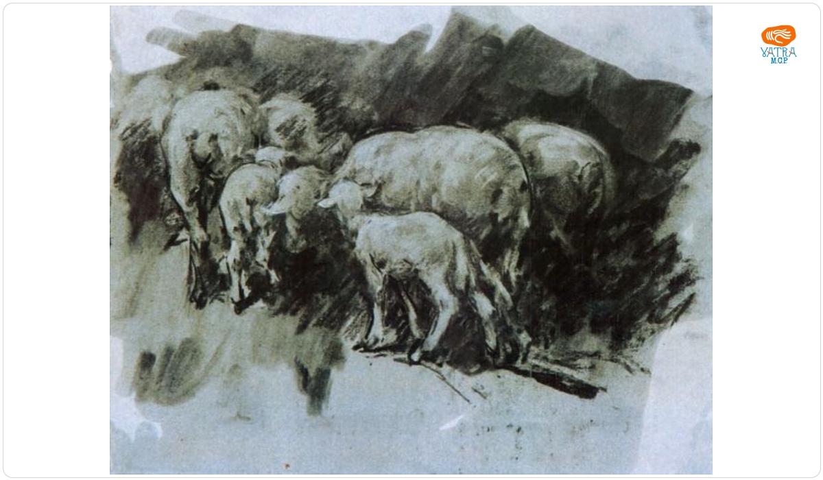 Pâlc de oi