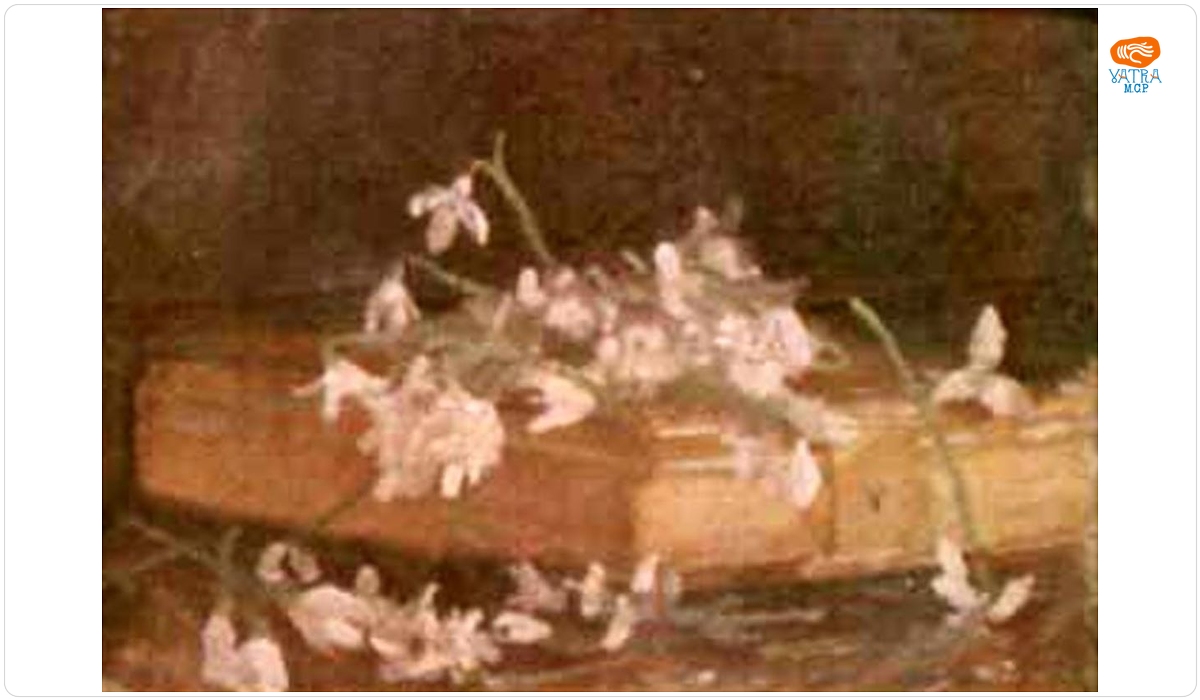 Ghiocei