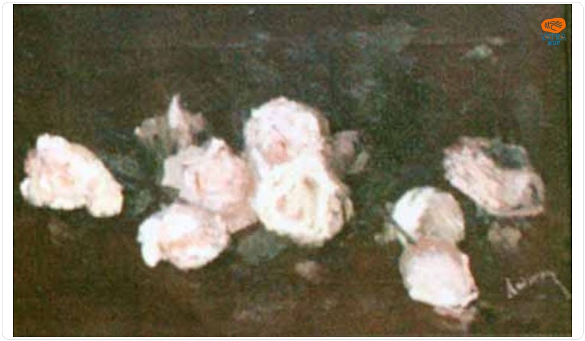 Trandafirii roz