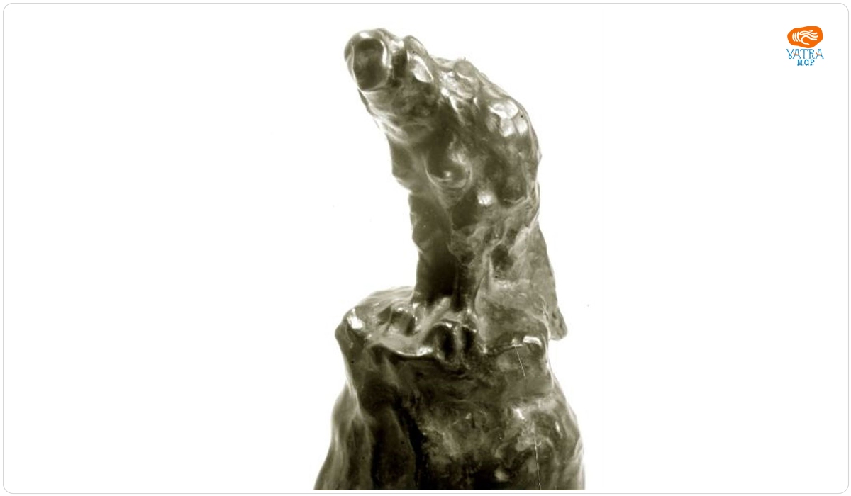 Dimitrie PACIUREA — Himera vultur