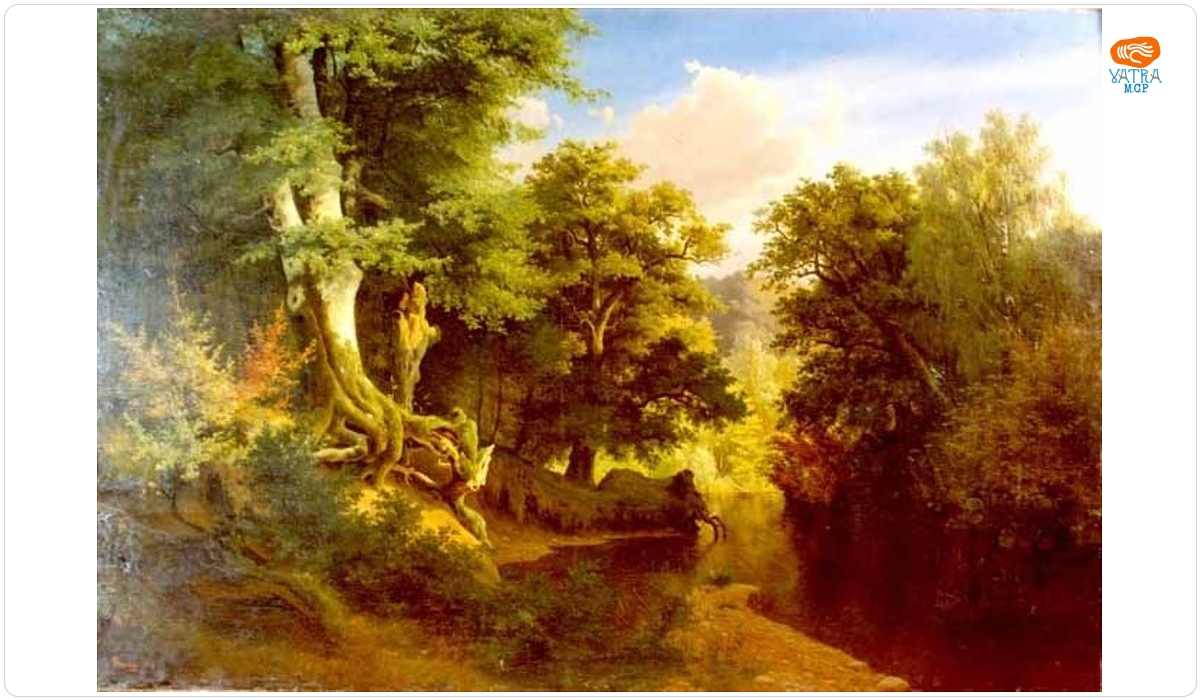 Peisaj de pădure cu râu