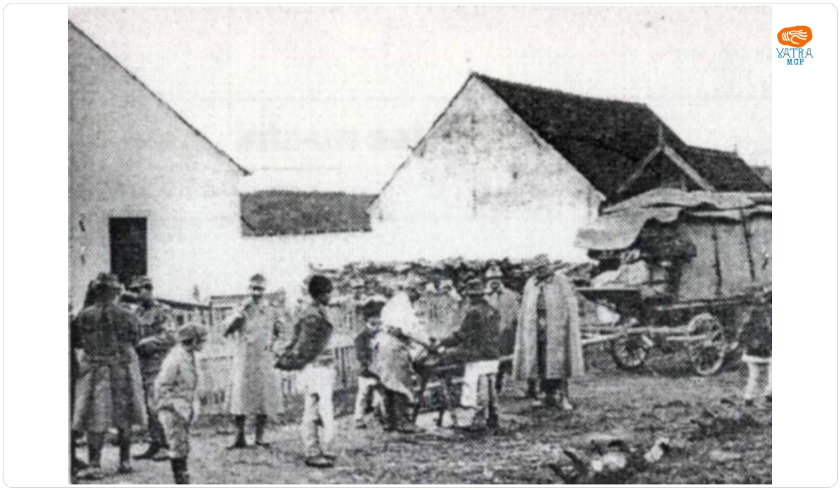 Prepararea hranei
