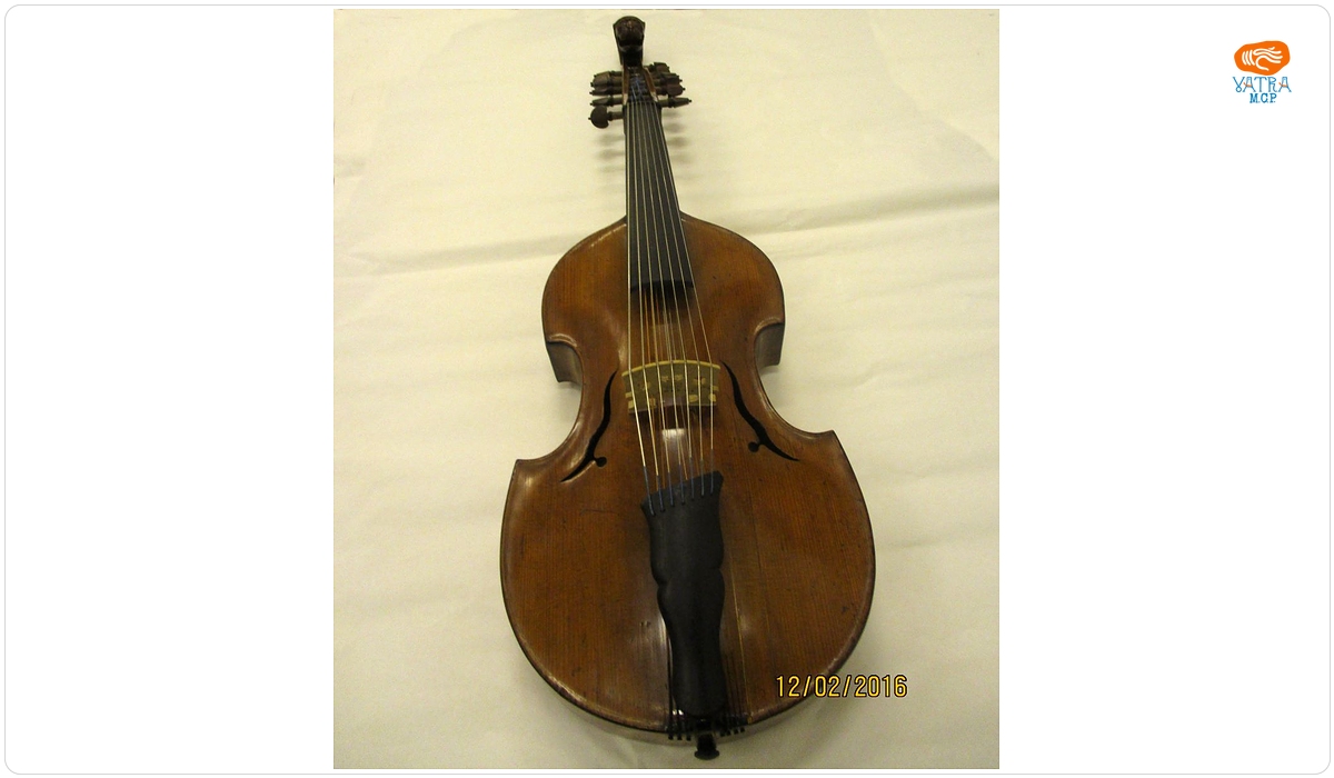 Viola d'amore