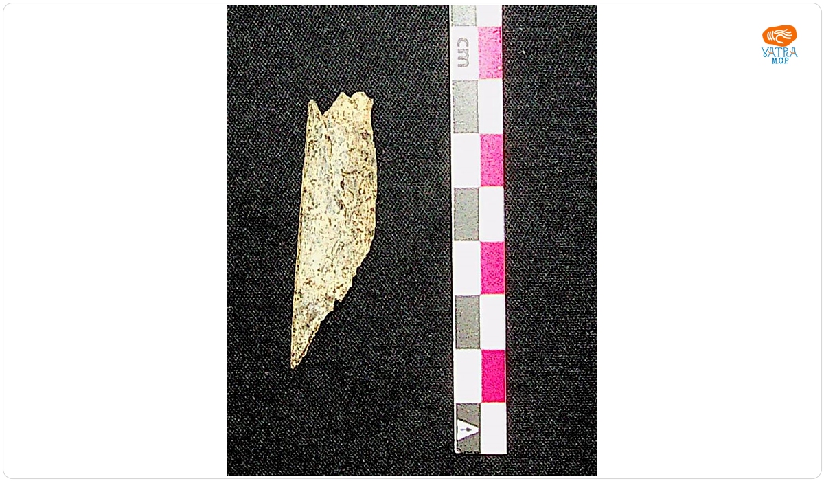 Fragment de întăritor de arc