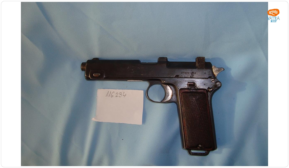 Revolver tip Steyer