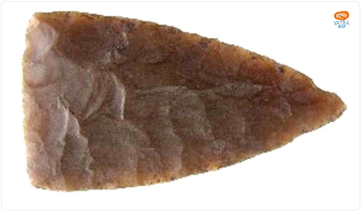 Vârf foliaceu