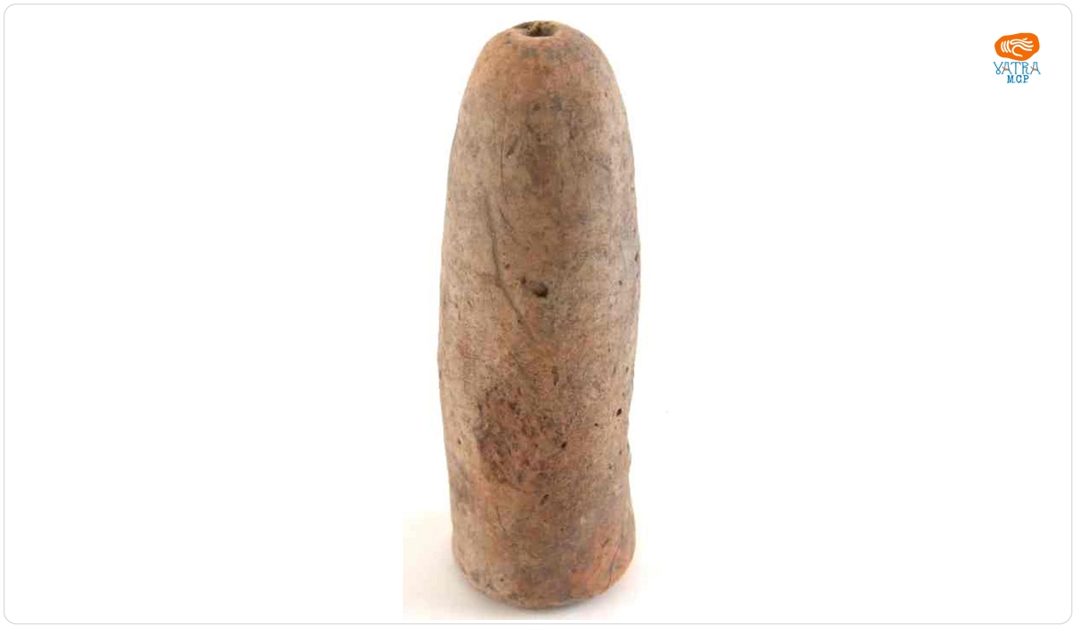 Phallus