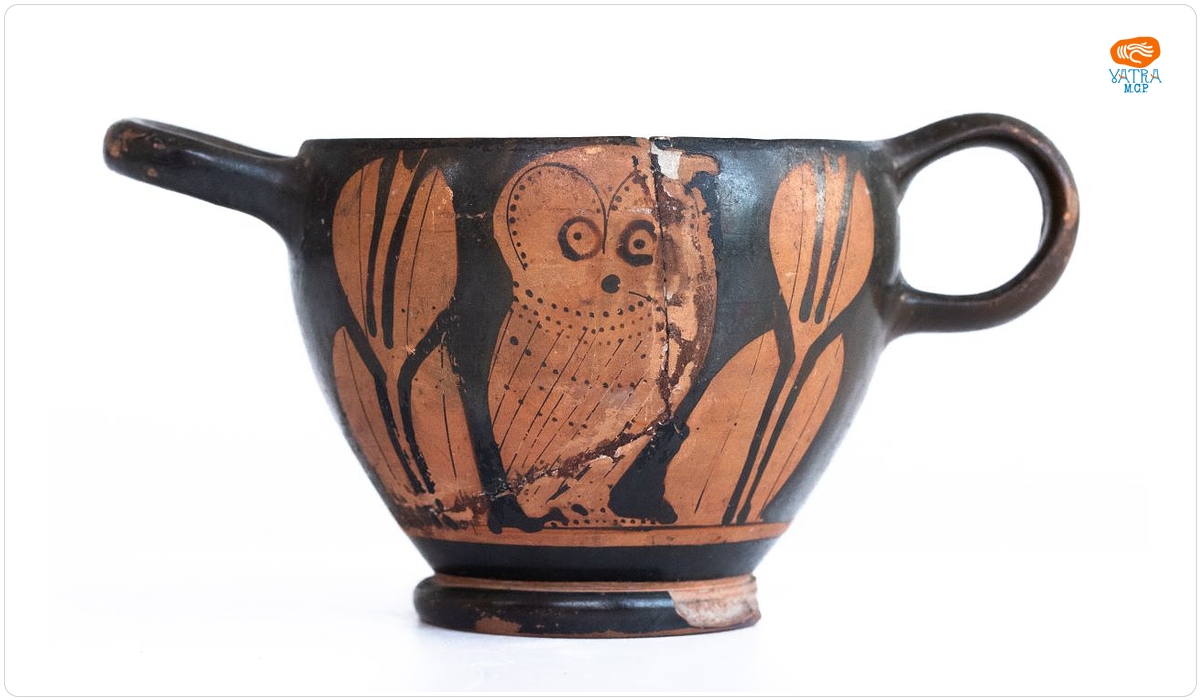 Owl cup