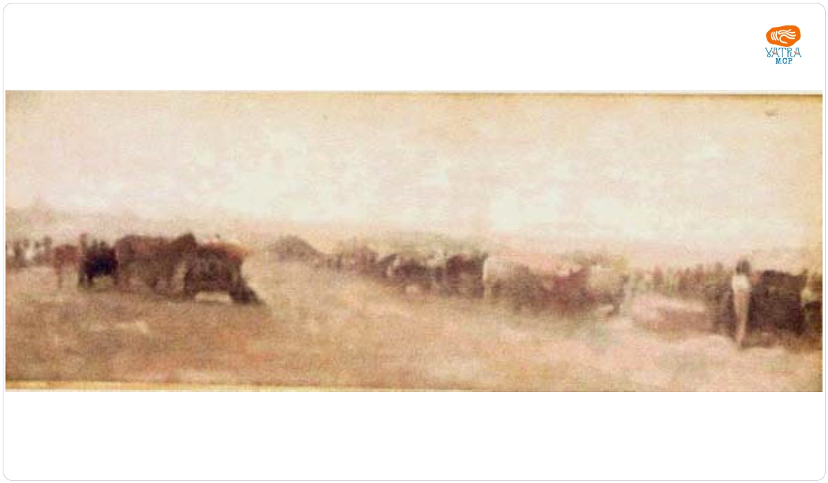 La bâlci