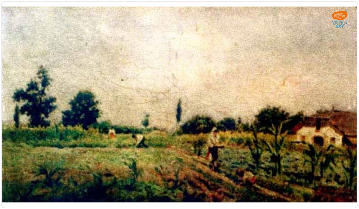 Peisaj