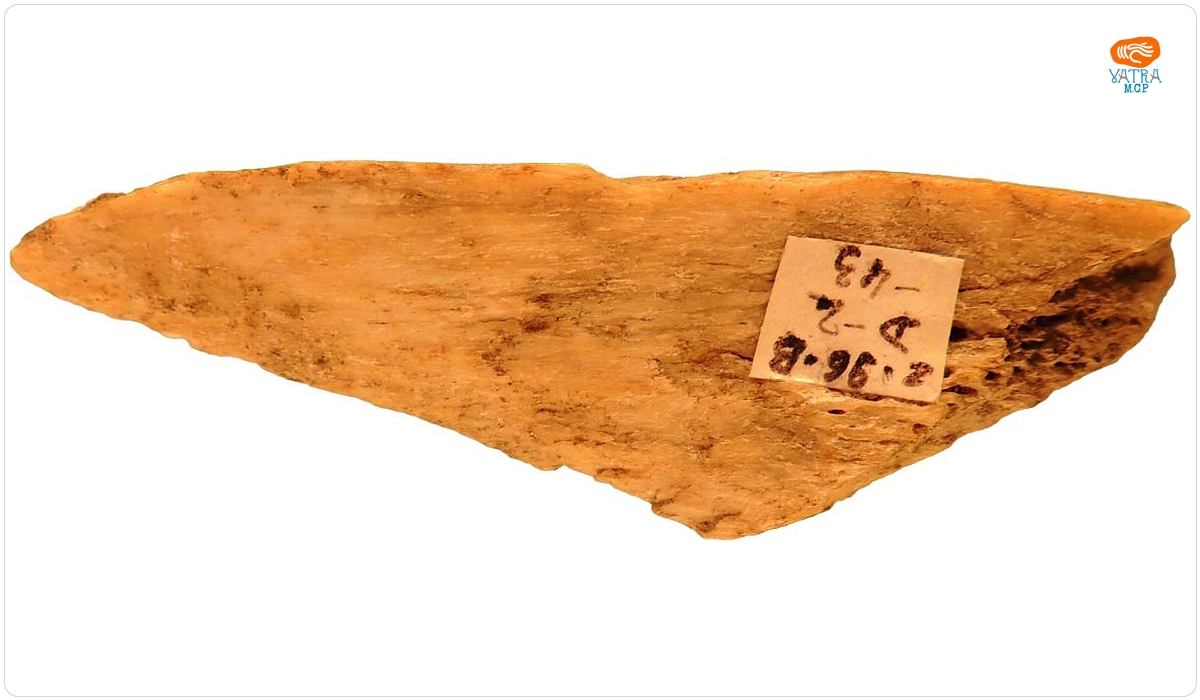 Vârf de săgeată de os (eboșă) / Fragment os prelucrat