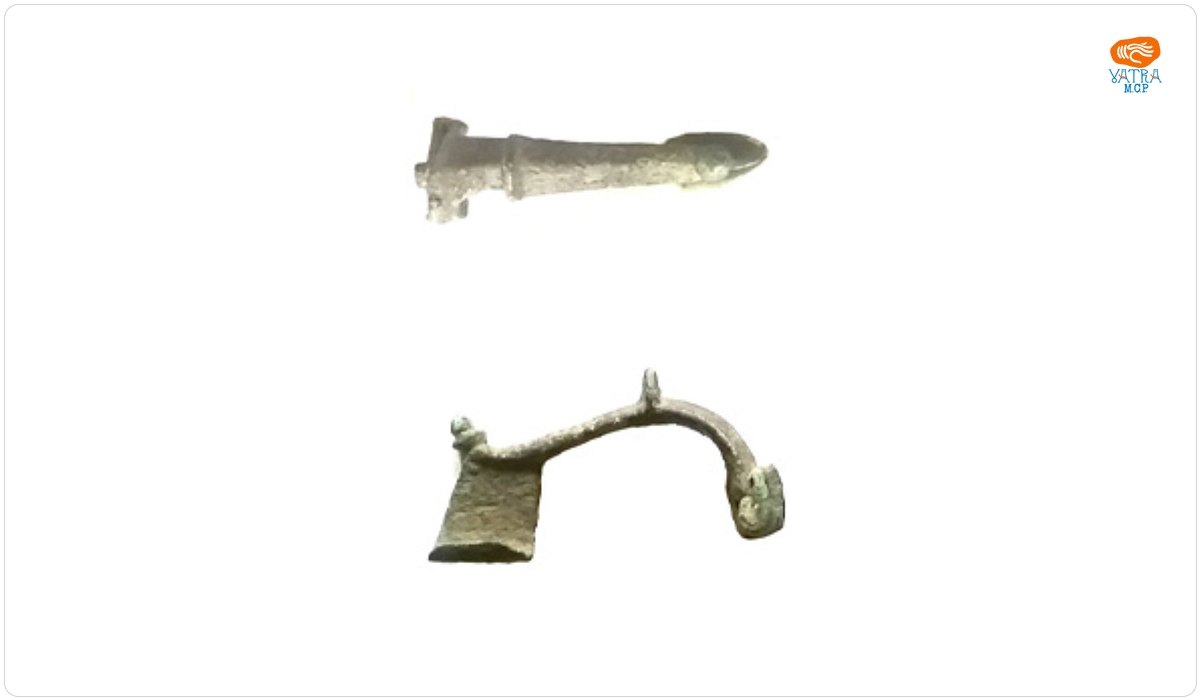 Fibulă