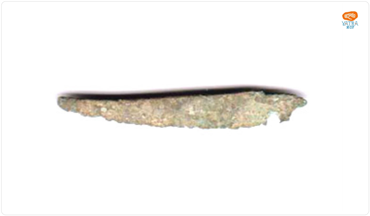 Scalpel