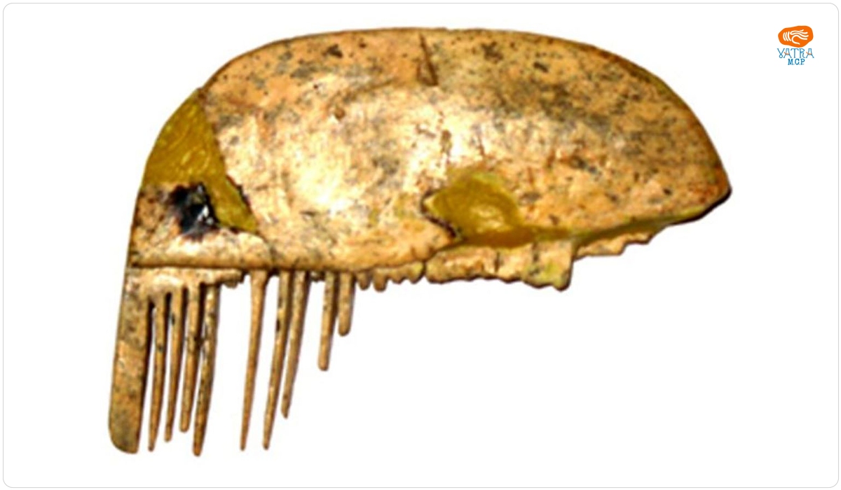 Pieptene