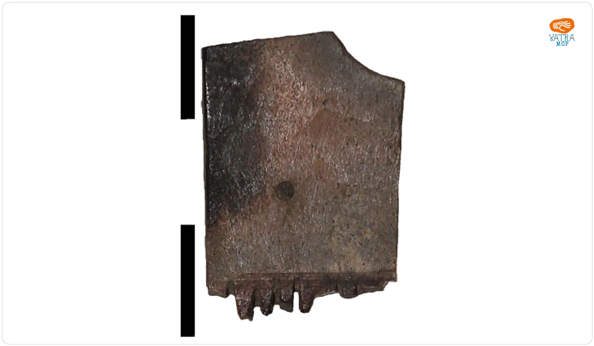 Pieptene