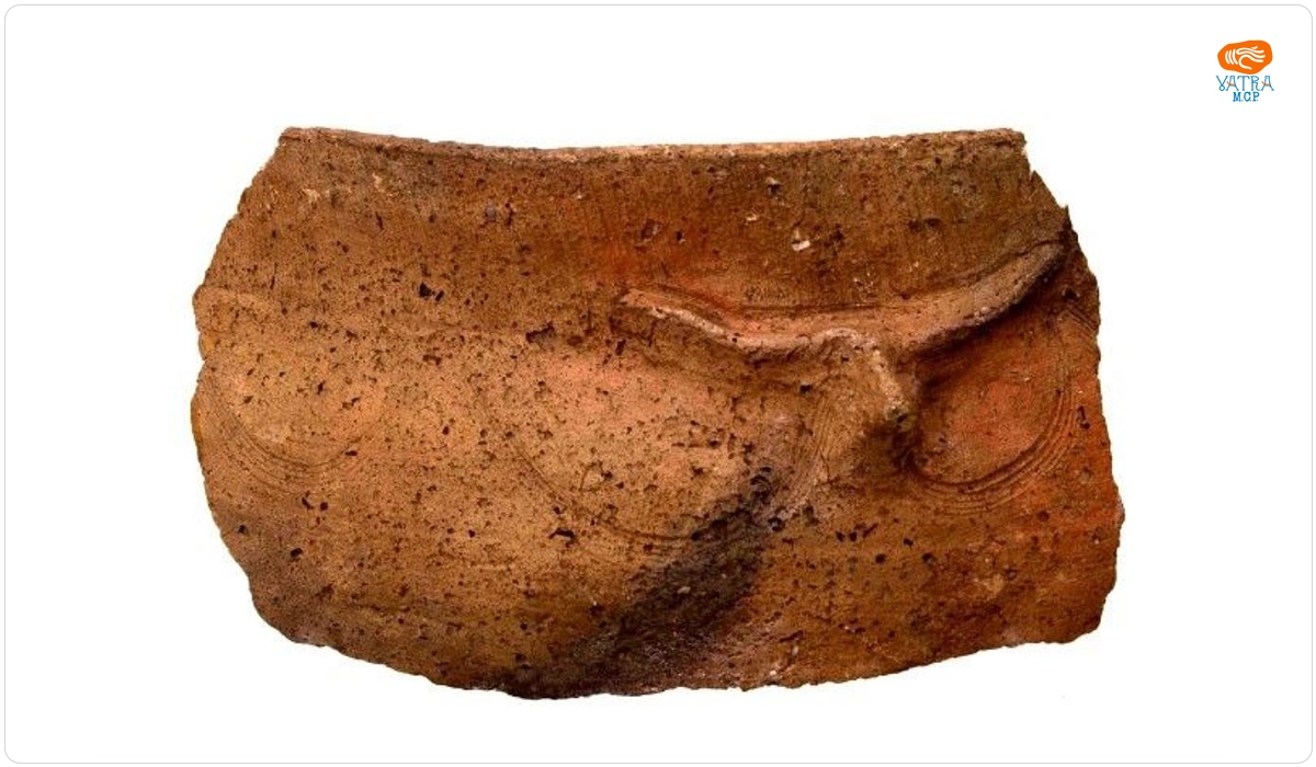 Fragment ceramic de tip Cucuteni C cu reprezentare zoomorfă în relief