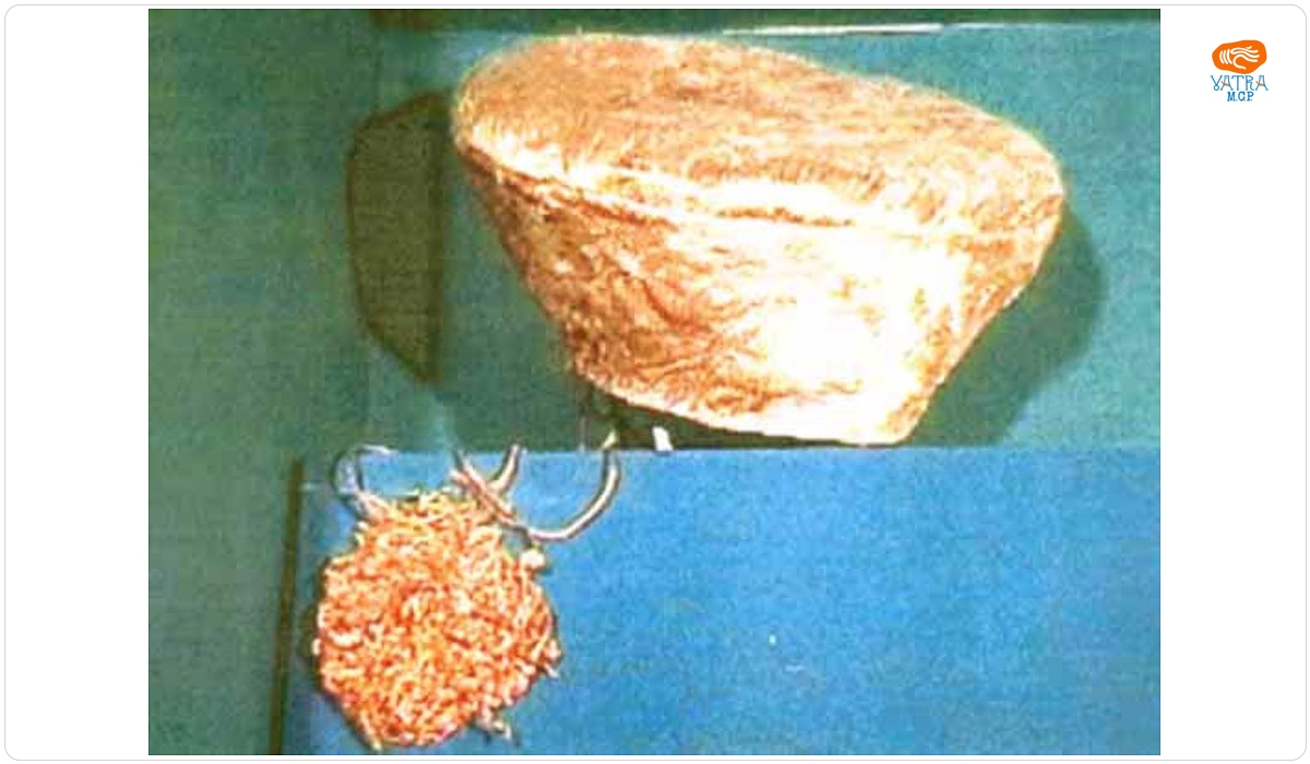 Pălărie