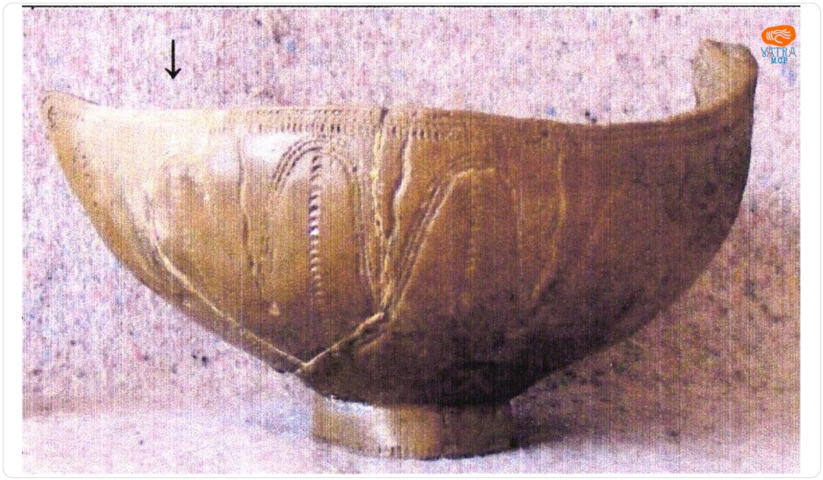 Castron siluetă de pasăre