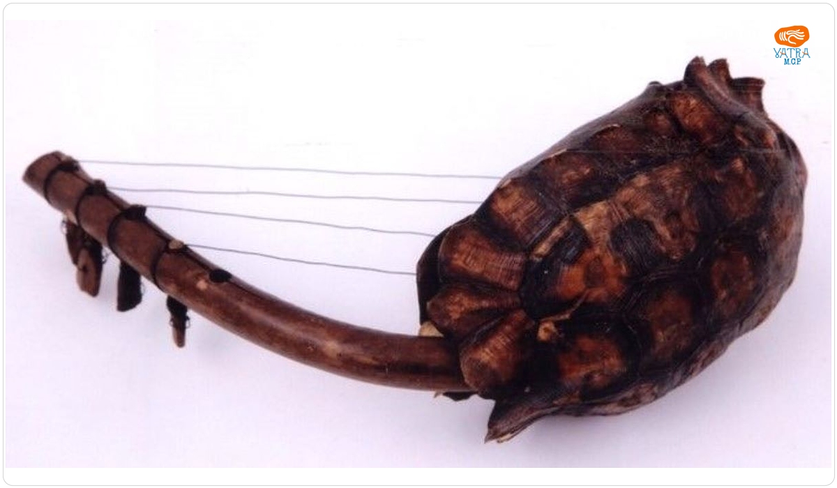Instrument de coarde