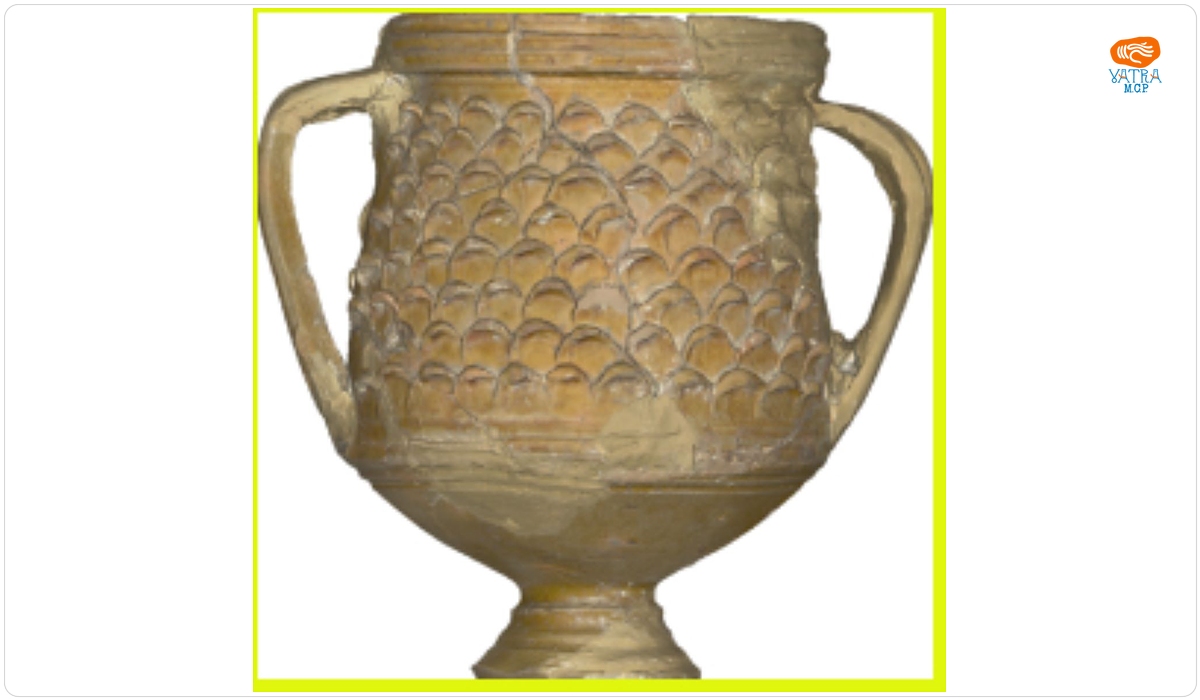 Cupă