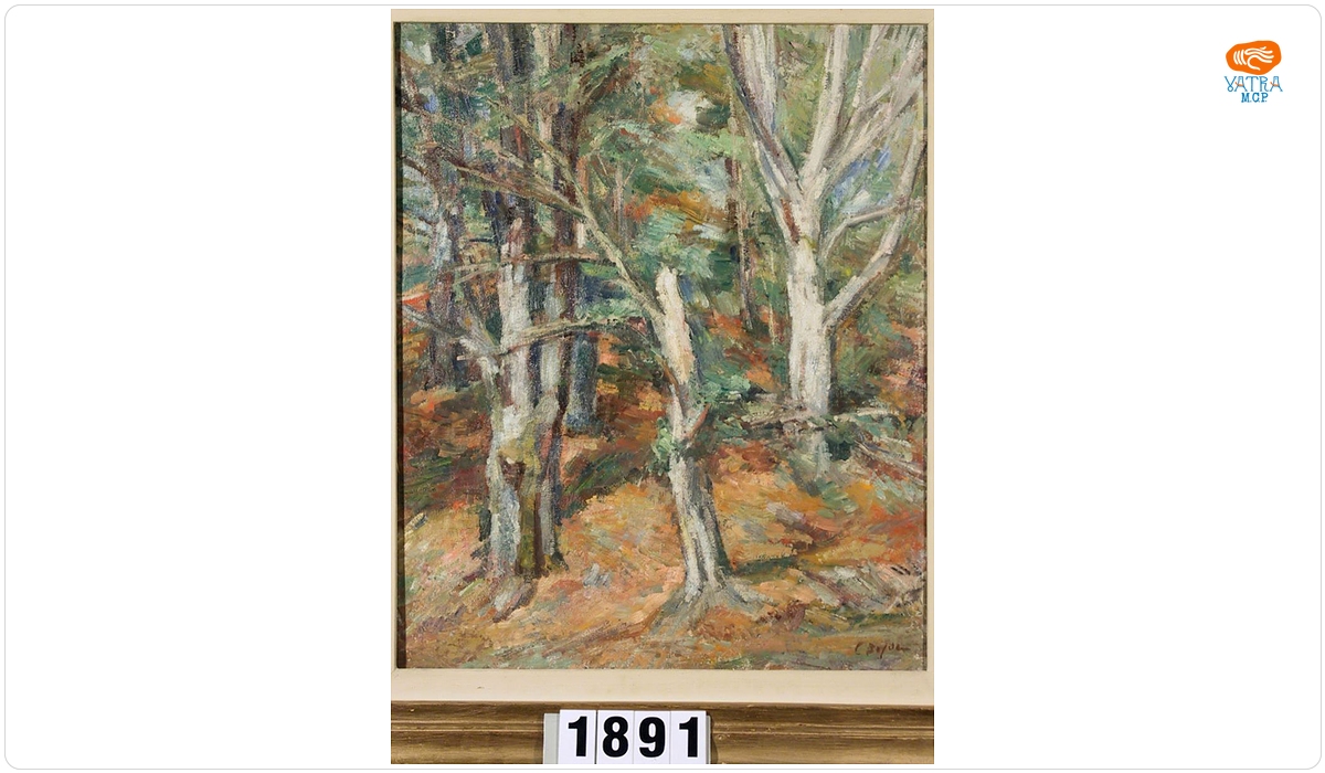 Catul Bogdan — Pădure