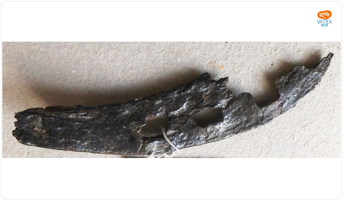 Fragment de potcoavă
