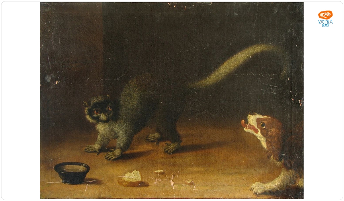 Câine și maimuță