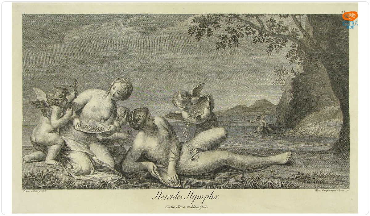 Nereides Nymphae; (Nereide și Nimfe); în registrul inventar: „Ninfe”