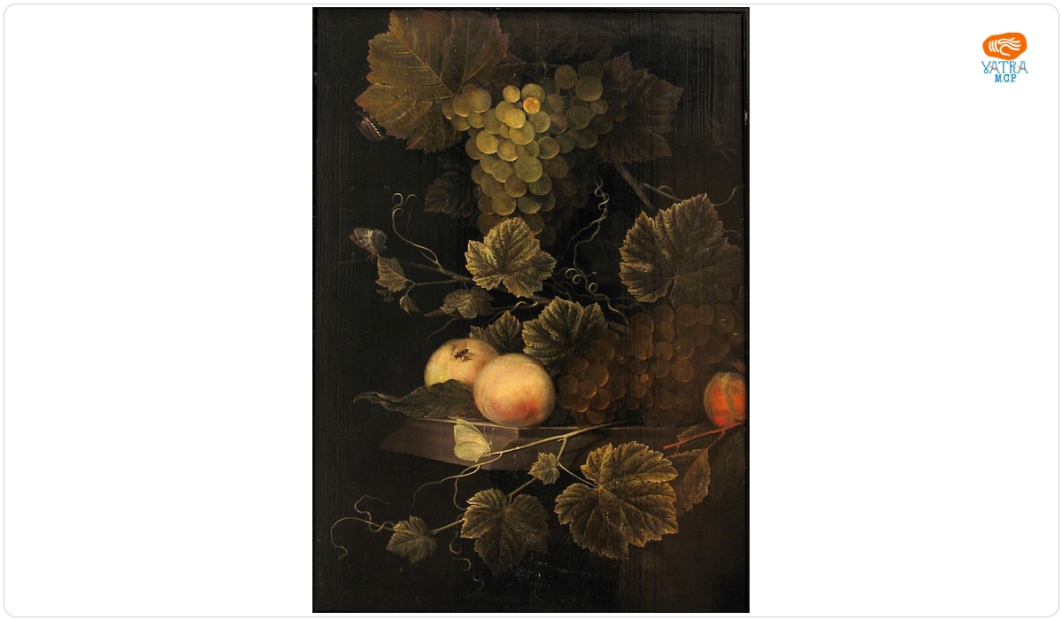 Fructe