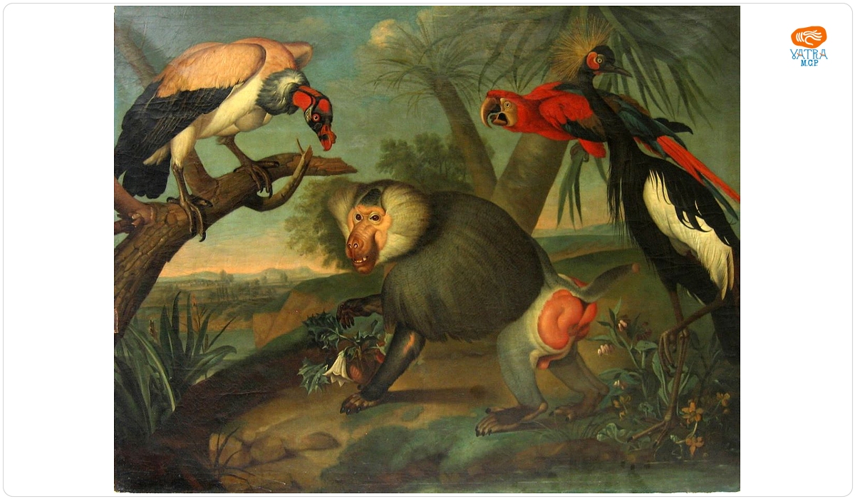 Philipp Ferdinand Hamilton — Animale exotice