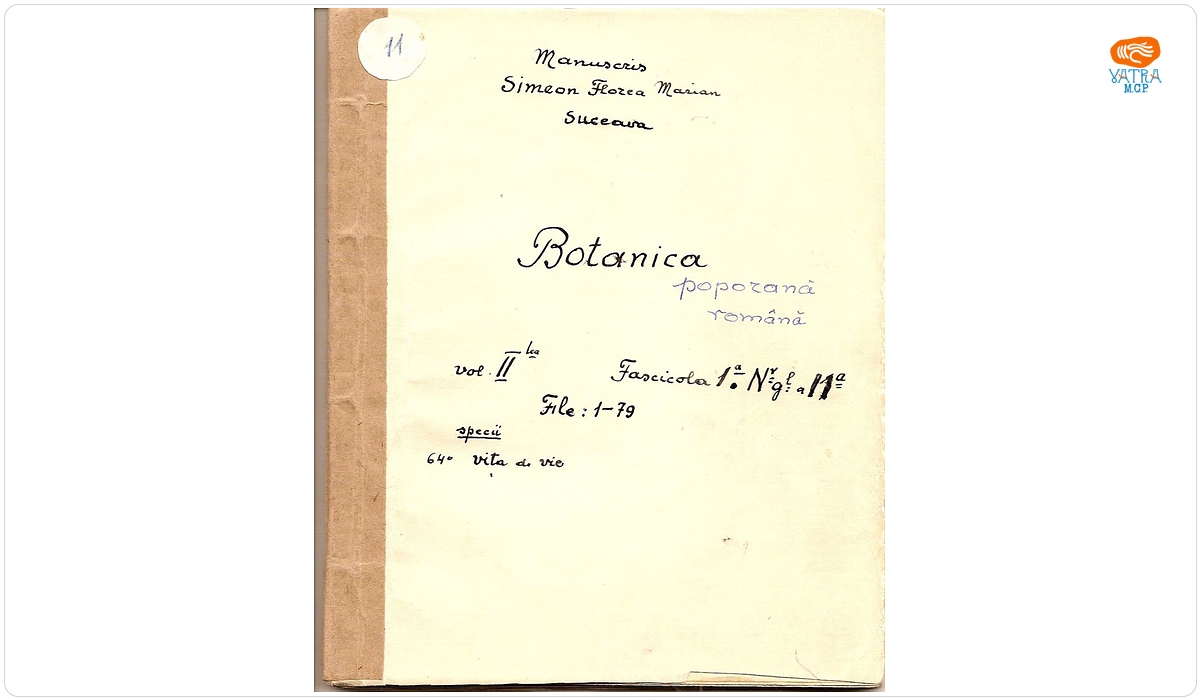 Simion Florea Marian - autor — Botanica poporană română (vol. II, fasc. 1); Specii: Vița de vie