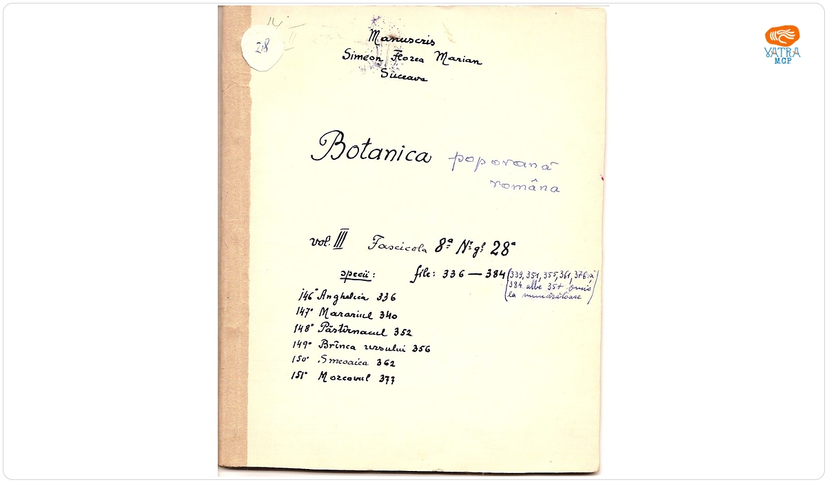 Simion Florea Marian - autor — Botanica poporană română (vol. III, fasc. 8); Specii: Anghelica, Marariul, Păstârnacul, Brânca ursului, Smeoaica, Morcovul