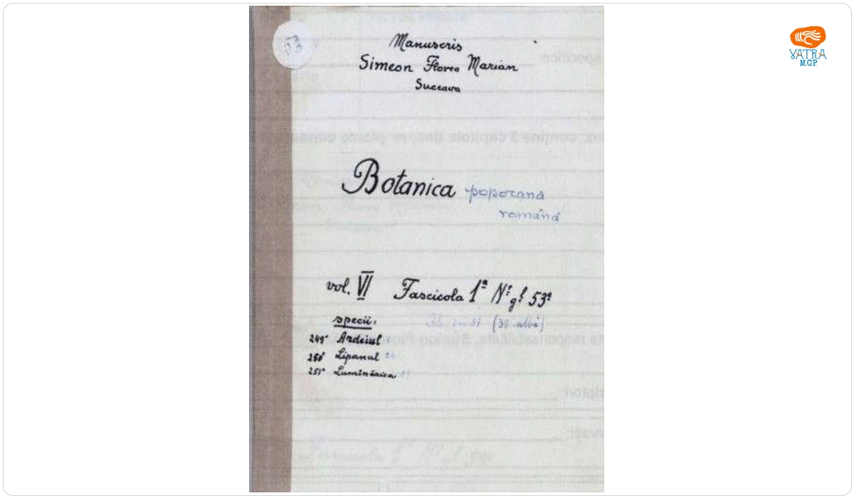 Botanica poporană română vol. VI, fascicola 1 specii: Ardeiul, Lipanul, Lumînărica